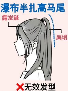 学生高马尾辫扎法图解_校园高马尾扎法，青春好看