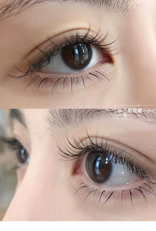 下睫毛正常图片_睫毛少或掉多?注意清洁和健康! 下睫毛正常图片_睫毛少或掉多?注意清洁和健康!