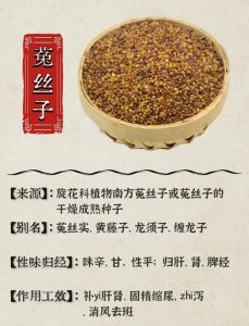 菟丝子十大最佳搭配_菟丝子搭配枸杞子枸杞明目补肾